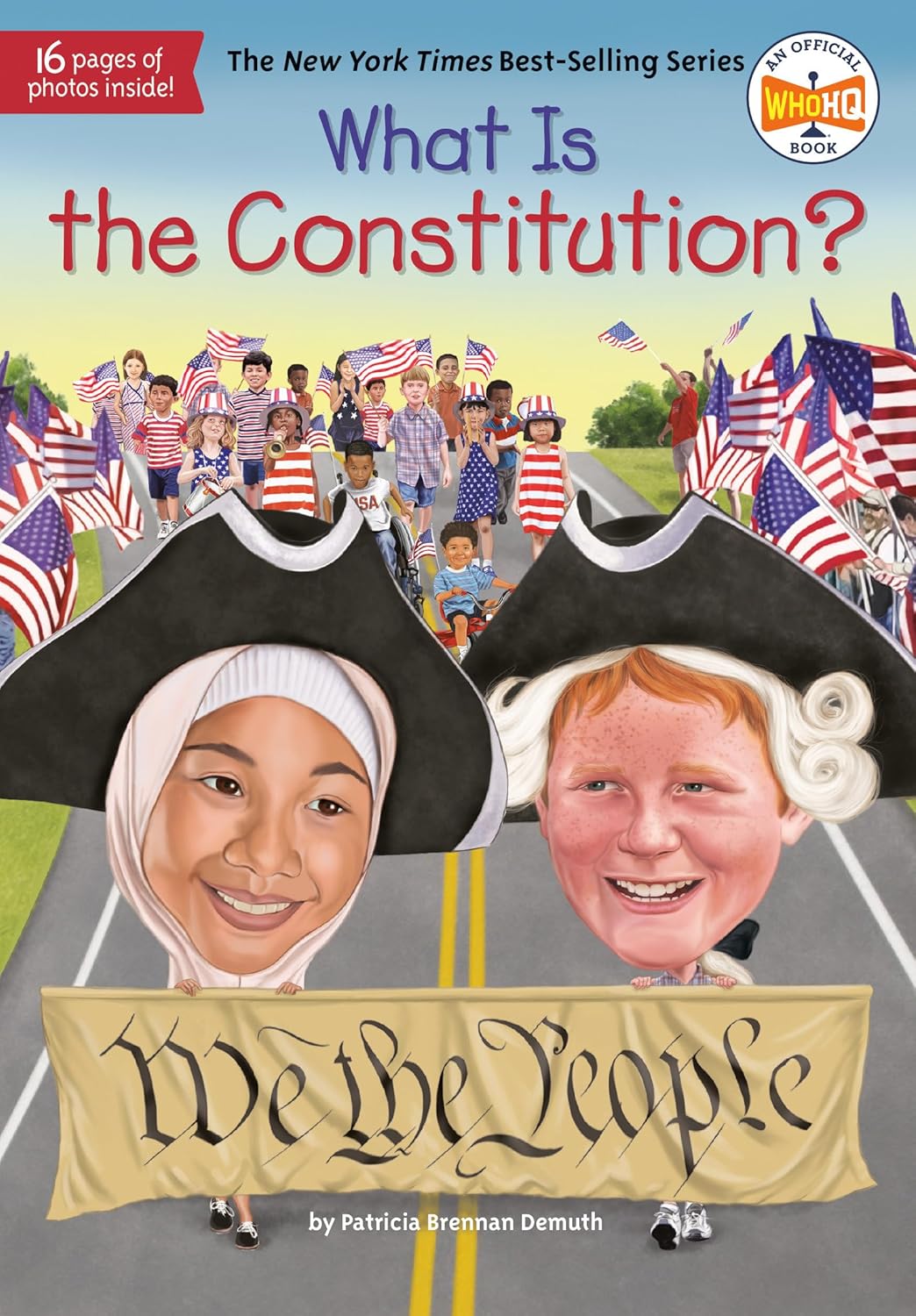 What is the Constitution What is the Constitution by Patricia Brennan Demuth.